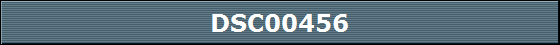DSC00456