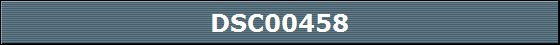 DSC00458
