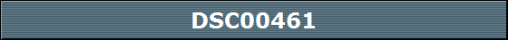 DSC00461