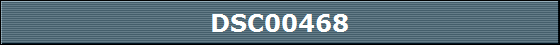 DSC00468