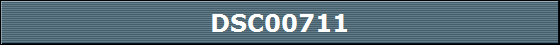 DSC00711