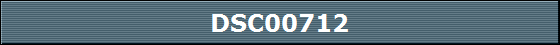 DSC00712